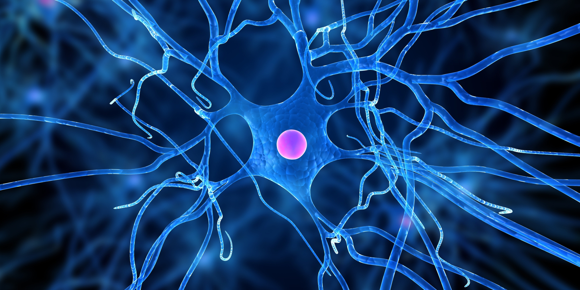 Nerve cell, computer artwork.